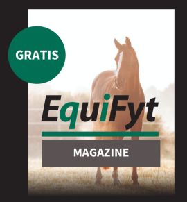 PAARDENNIEUWS IN UW MAILBOX