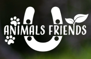 Animals Friends