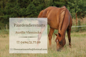 Dierenarts Aurélie Vleminckx