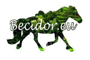 Becidor