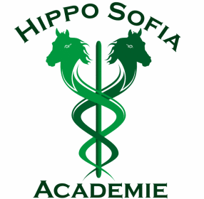 Hippo Sofia Academie