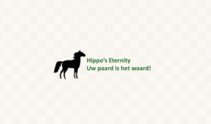 Hippo's Eternity