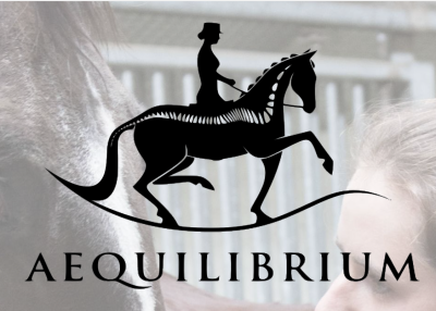 Aequilibrium ML