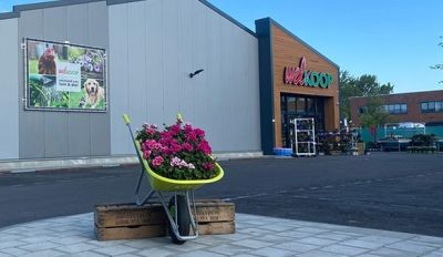 Welkoop Numansdorp