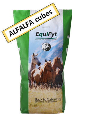 droogte Verklaring Recensent Alfalfa cubes | Shop | EquiFyt - Natuurlijke voeding voor fitte, gezonde  paarden